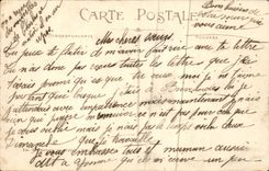 Bluht - Blumen - Ganseblumchen - CPA