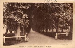 Boissy Saint Light - Allee of the Castle of Piple - CPA