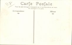 Gerardmer - the Bridge of the Fairies - CPA