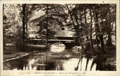 Bains les Bains - Pont du Parapluie - CPA 