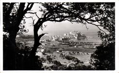 Corsica - High Corsica - Corsica - Calvi - Seen from between the Olive-trees - CPA