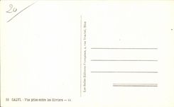 Korsika - hohes Korsika - Korsika - Calvi - gesehen zwischen von den Olive-Baumen - CPA