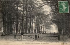 CPA Boissy Light St Under wood