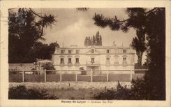 CPA Boissy light St Castle of the pines