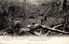 CPA Fibula French areas liberees