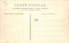 CPA Avignon Gesamtabbildung der Brucke St Benezet und der Gaumen der Papste