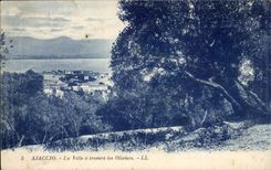 Corsica - Corsica - Ajaccio - the city through the Olive-trees - CPA