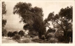 Corsica - Corsica - Ajaccio - the Napoleon Cave - CPA