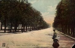 Dijon - Allee des Parks - CPA