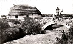 Un Pont en Carmargue - CPSM 