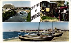 Camargue - Souvenir - CPA 