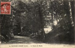 Montfort Amaury - the Way of Bluche - CPA