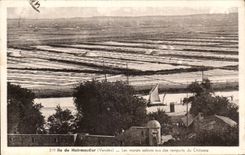 CPA Island of Noirmoutier saline marshes seen of the walls of the castle