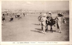 CPA Sande des olonne Wegs hat Esel auf dem Eselstrand