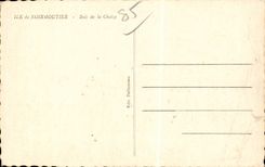 CPA Island of Noirmoutier Wood of Chaize