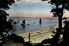 CPSM Noirmoutier Landscape