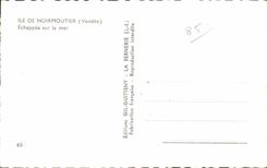 CPA Noirmoutier Escaped on the sea