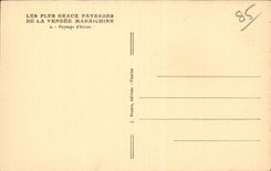 CPA the Vendee maraichine Landscape of winter