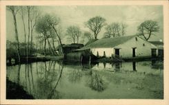 CPA das Vendee maraichine eine hubsche Ecke