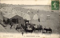 CPA Sande von olonne das Strand Esels-Esel-Maultier