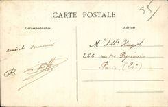 CPA Sande von olonne das Strand Esels-Esel-Maultier