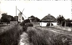 CPSM im Vendee Bourrine und Muhle des Land maraichin