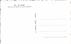 CPSM im Vendee Bourrine und Muhle des Land maraichin