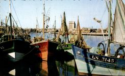 CPSM Sande von olonne der Hafen