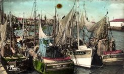 CPSM Sande von olonne der grune Portdelphin Toirette