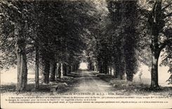 CPA Maintenon Schloss-Allee Wurzel