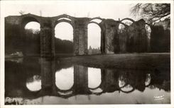 CPA Maintenon der Aquadukt