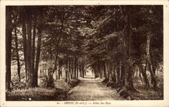 CPA Arrou Allee des Holzes