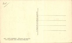 CPA the Moors Herd of sheep on the main road Bordeaux Bayonne