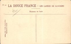 CPA moors out of drill Sheep