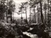 CPSM Moors the brook in the drill