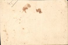 CPA Orleans Duchess of Orleans