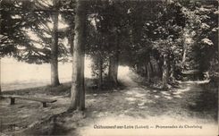 CPA Chateauneuf on the Loire Walks of Chastaing