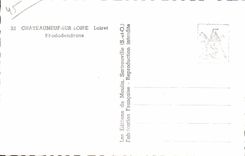 CPSM Chateauneuf on the Loire Rhododendrons