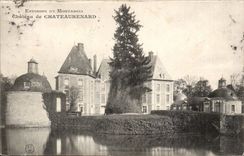 CPA Surroundings of Montargis Castle of Chateaurenard