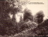 CPA Chateaurenard Ruins of the feudal castle