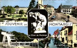 CPSM Montargis Andenken der Hund von Montargis