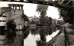 CPSM Montargis Rand des Kanals