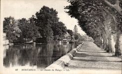 CPA Montargis the way of towing