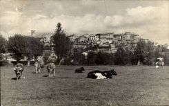 CPA Spain Spain Espana Puigcerdia Packs up of Campania