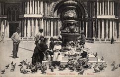 CPA Italy Italia Venezia Piazza S Marco I Piccioni