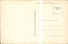 Switzerland - Schweiz - Morge - View and Apes - CPA