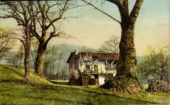 Italia - Italia - Italia - Hanno el Alberi - CPA