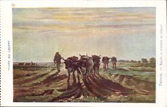 CPA Paris Museum of Louvre Troyon Oxen going to the ploughing