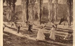 CPA Room Henri Martin the summer reapers