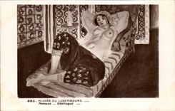 CPA Musee du Luxembourg Paris Matisse Odalisque